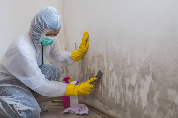 Best Toxic Mold Removal  in Midland, WA
