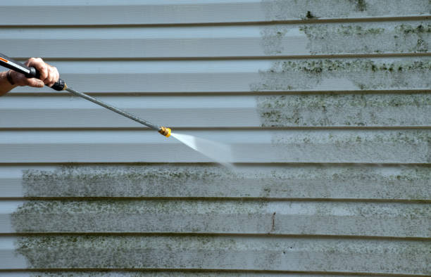 Best Certified Mold Removal  in Midland, WA