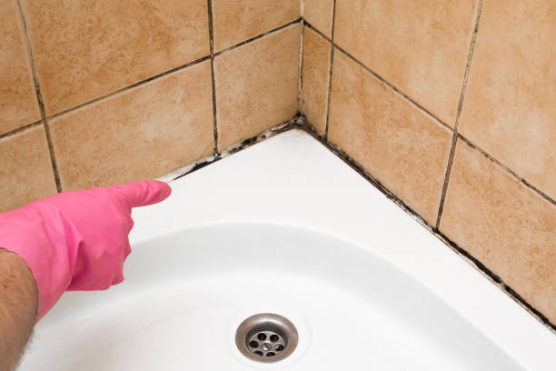 Best Mold Removal Company Near Me  in Midland, WA